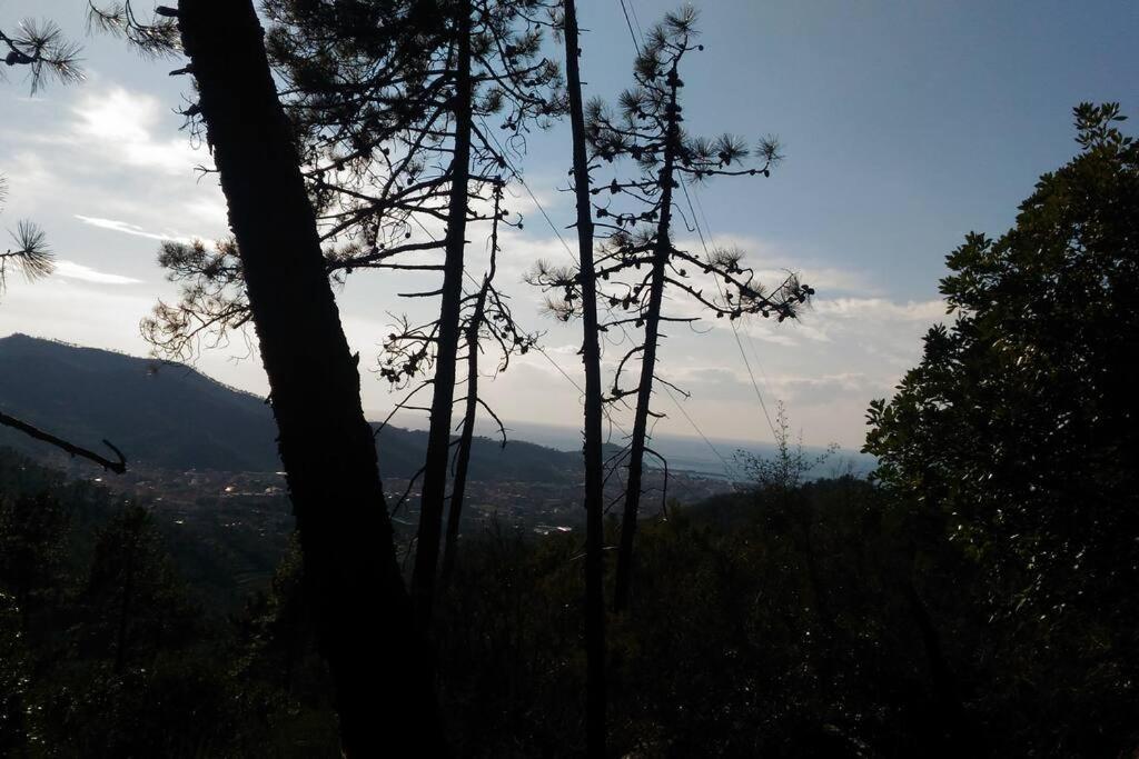 La Piazzetta Di Gra E Baldo Apartment Sestri Levante Bagian luar foto