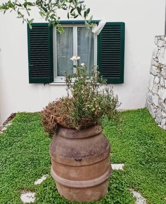 La Piazzetta Di Gra E Baldo Apartment Sestri Levante Bagian luar foto